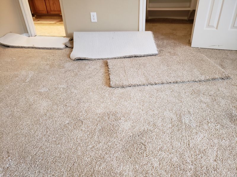 Commercial Carpet Repair in Littleton, CO