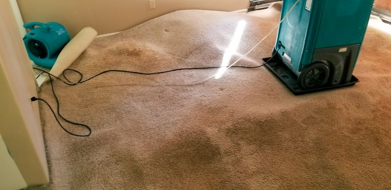 Home Carpet Repair