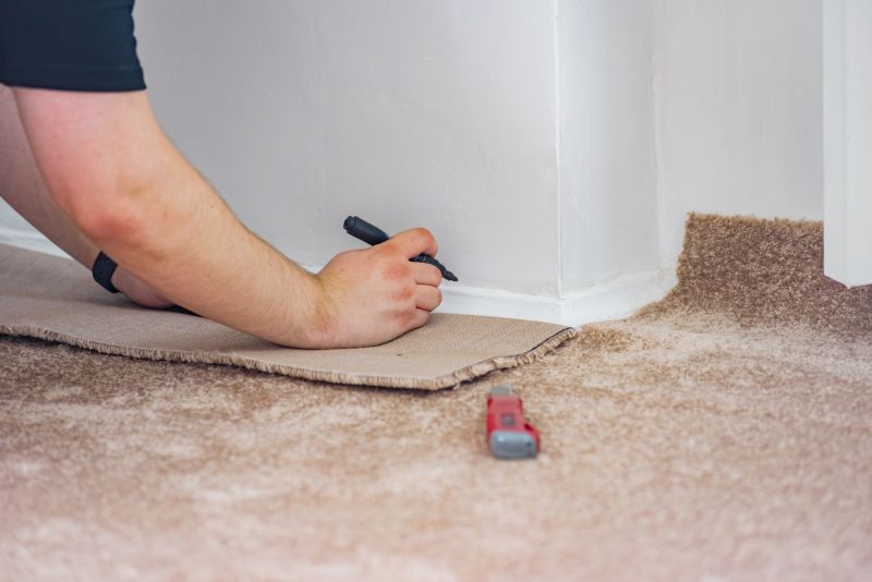 Home Carpet Repair detail
